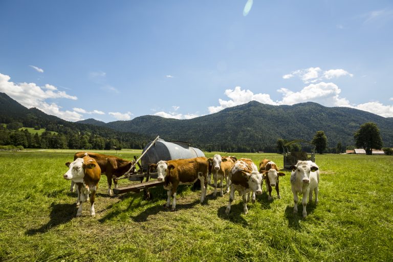 50198_172bdbcc000070aa308770afa88ec4ac-4.1.2026, 13_05_29